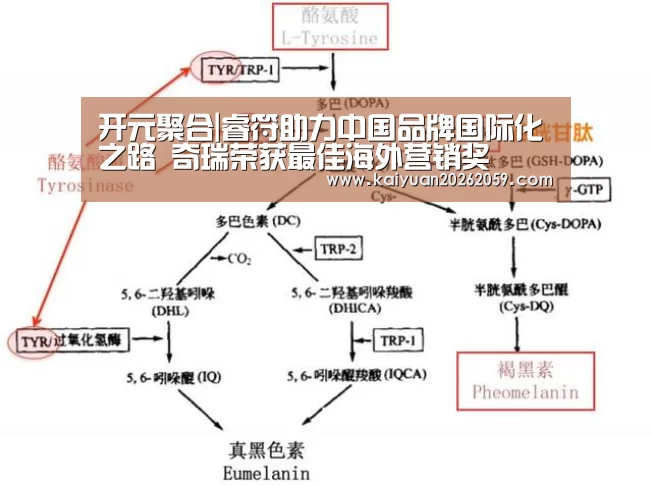 开元聚合